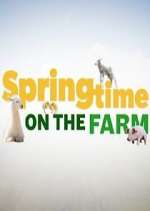 Springtime on the Farm