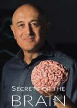 Secrets of the Brain